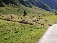 IMG E3686  into windrows