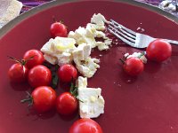 IMG 0052  the starter from the garden