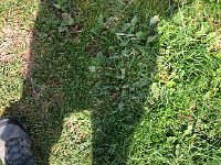 IMG 0082  and out into nature