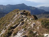 IMG 3738  watch where you put your feet