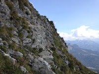 IMG 3739  useful chain