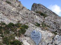 IMG 3741  not everyone came back