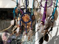 IMG 0124  keeping an eye out for dreamcatchers