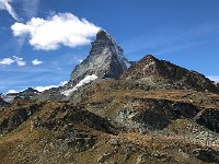 IMG 2590  dominating