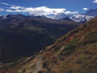 IMG 3803  down, down to town