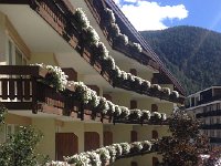 IMG 3808  back in Swiss civilization