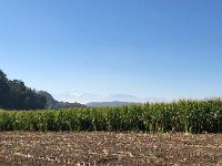 IMG 0222  then along the top of the Uetiliberg ridge