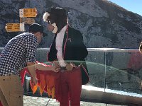 IMG 0247  dancing animals?