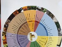 IMG 0262  the tasting criteria