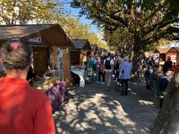 IMG 0289  all lined up