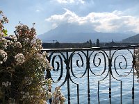 IMG 0296  ornamental lake side