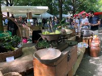 IMG 0339  garden produce for sale