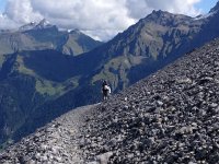 IMG 3371  nice trail through the debris
