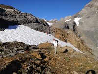 IMG 3377  this is in fact the wrong way!