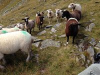 IMG 3402  whaddayagot?