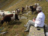 IMG 3403  nothing you want