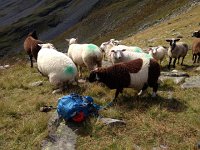 IMG 3404  time to pee and move on