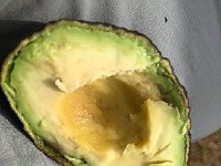 IMG 9935  been hauling these since yesterday