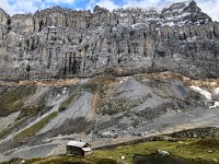 IMG 9945  a veritable wall