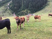 IMG 9953  little ones