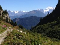 IMG 3455  the trail becomes a road