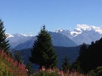 IMG 3457  Grand Combin