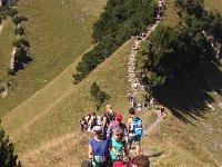 IMG 3466  many many people