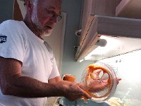 IMG 0067  first batch of sauerkraut