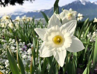 23-24 April 2019 Around Montreux