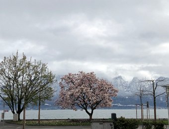 4 April 2019 Snow in Montreux, Trois Vernissages in Vevey