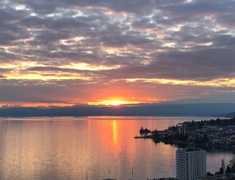 8-12 April 2019 Flowers and Sunset, Yvorne