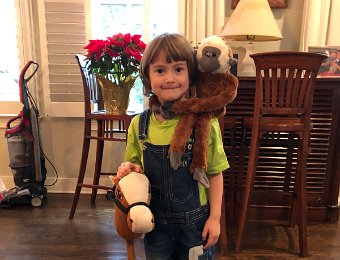 3 January - Pippi Longstocking Costume