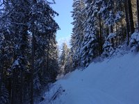 minimal coverage but no one there