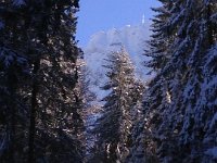 The summit far above me