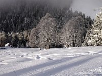 Especially over by the trees