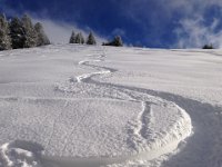 12 December - Another day on Rochers de Naye