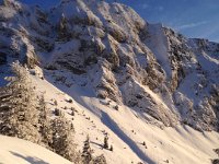 Nice Christmas card?