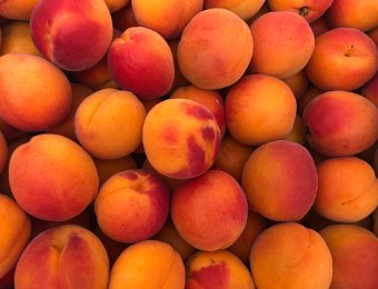 26 July Jardin Doret, Fete de Valais