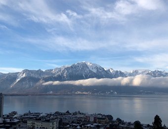 1-6 February Fun in the Neighborhood