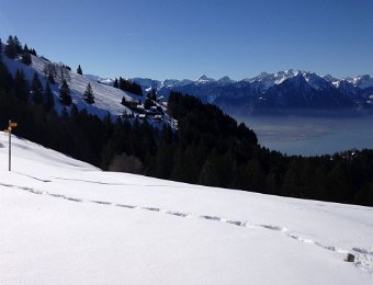 14 February 2019 Rochers de Naye