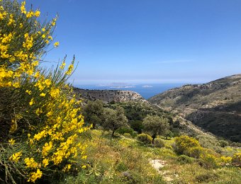 9 May Apeiranthos - Danakos - Filoti