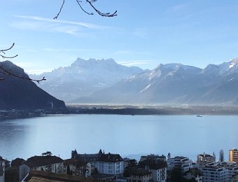 15-16 January 2019 Rochers de Naye, New Bed and Terrines