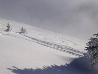 18 January 2019 Rochers de Naye and Dinner Party