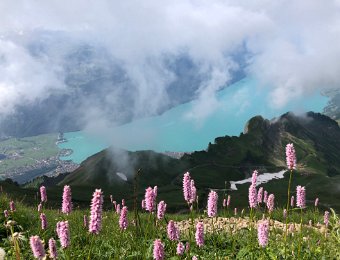 14 July Central Switzerland Hike (Brienzer Rothorn)