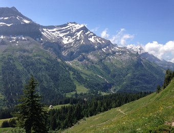 9 July 2019 Col du Pillon to Gsteig