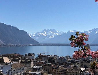 19 -24 March Chamby, Montreux and Vevey