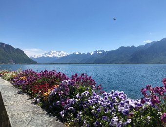 16 May in Montreux