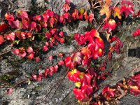 The colors had really popped