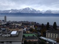 We returned from Kathmandu late the night of 17 November. The next morning I couldn't believe my eyes!