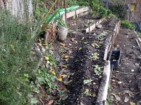 And even transplanted lettuce in hopes of an early spring harvest